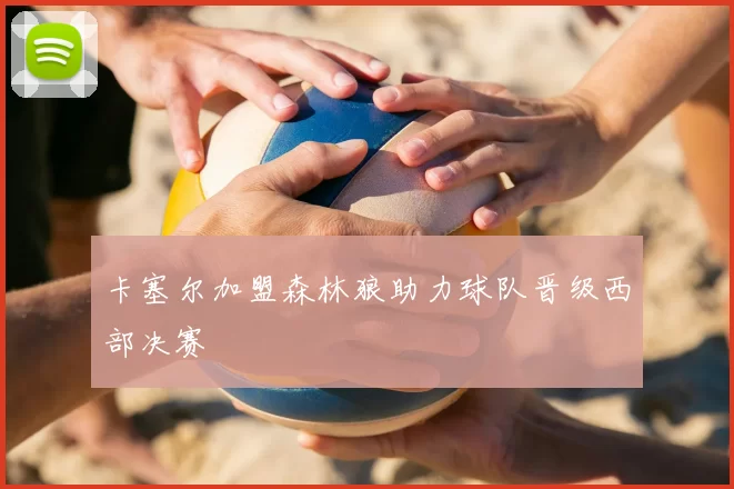 卡塞尔加盟森林狼助力球队晋级西部决赛