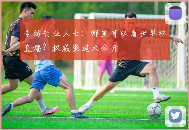 专访行业人士：哪里可以看世界杯直播？权威渠道大公开