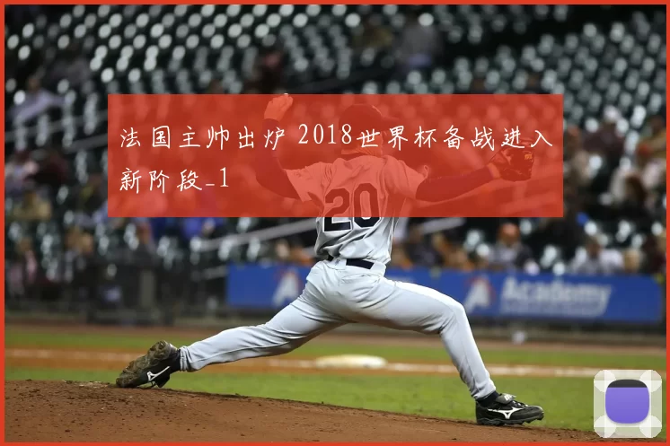 法国主帅出炉 2018世界杯备战进入新阶段_1