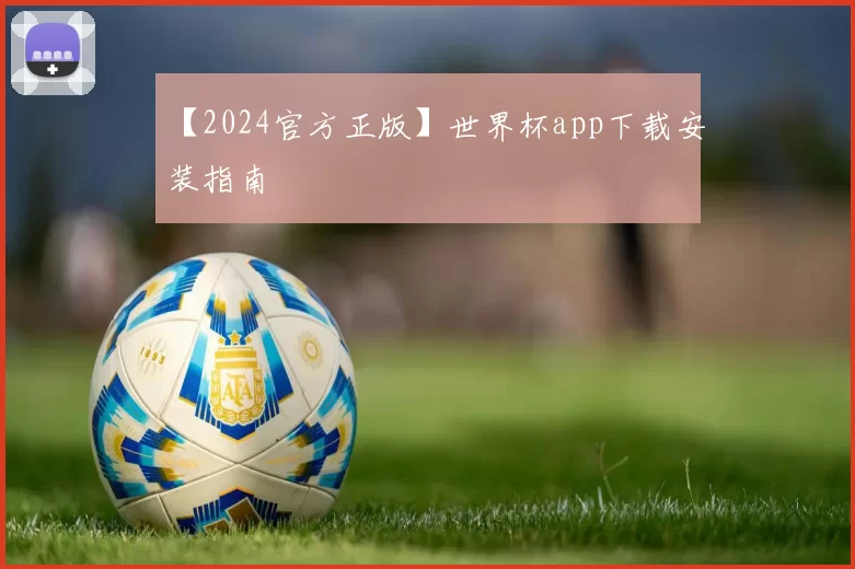 【2024官方正版】世界杯app下载安装指南