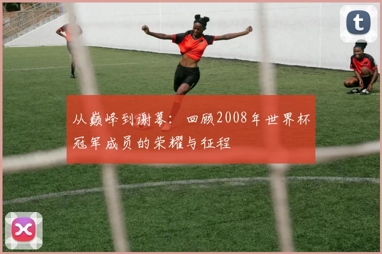 从巅峰到谢幕:回顾2008年世界杯冠军成员的荣耀与征程