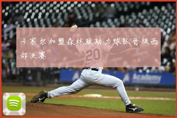卡塞尔加盟森林狼助力球队晋级西部决赛