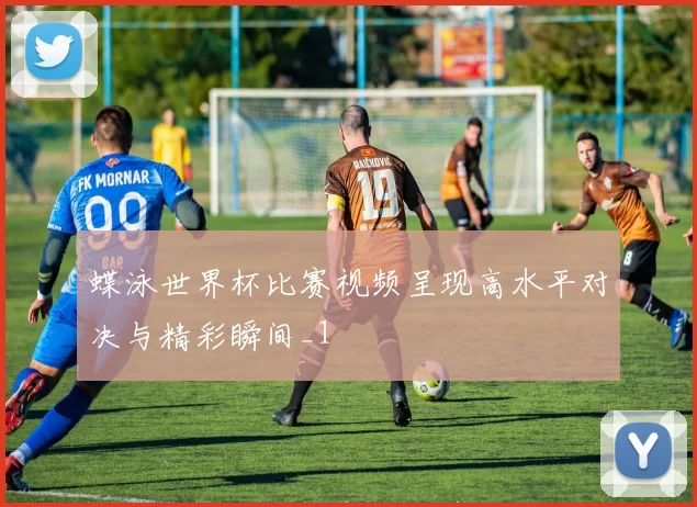 蝶泳世界杯比赛视频呈现高水平对决与精彩瞬间_1
