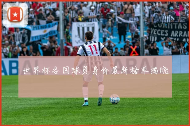 世界杯各国球员身价最新榜单揭晓