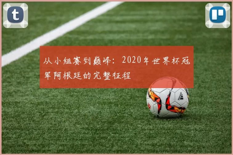 从小组赛到巅峰:2020年世界杯冠军阿根廷的完整征程
